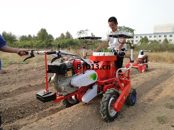 蔬(shu)菜(cai)種植(zhi)機